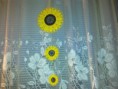 Slunečnicový závěs na okno